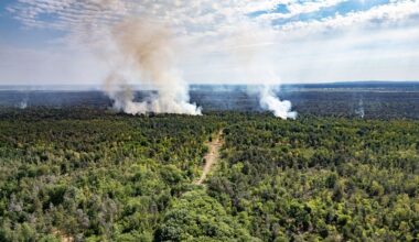 Ticker zum Waldbrand in der Gohrischheide: Teilevakuierung in Zeithainer Ortsteil Jacobsthal - MDR