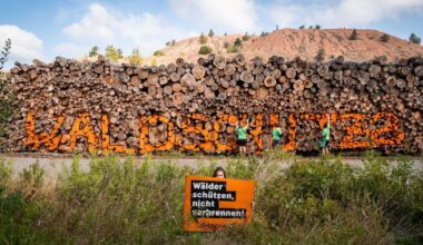 Greenpeace-Protest am Biomassekraftwerk Holungen / Bischofferode. Foto: Greenpeace