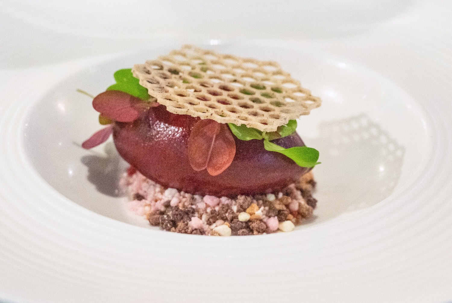 Essen in Grönland: Beeren-Sorbet auf einem Teller angerichtet
