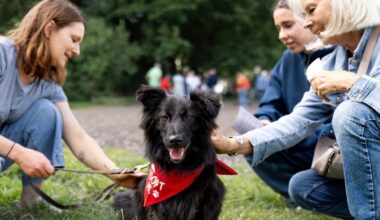 Hunde adoptieren aus dem Tierschutz