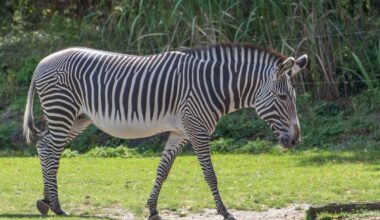 zoo leipzig