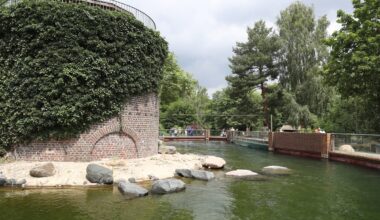 Party-Stress im Zoo Leipzig! Pfleger planen Überraschung - "Scheiß-Idee"