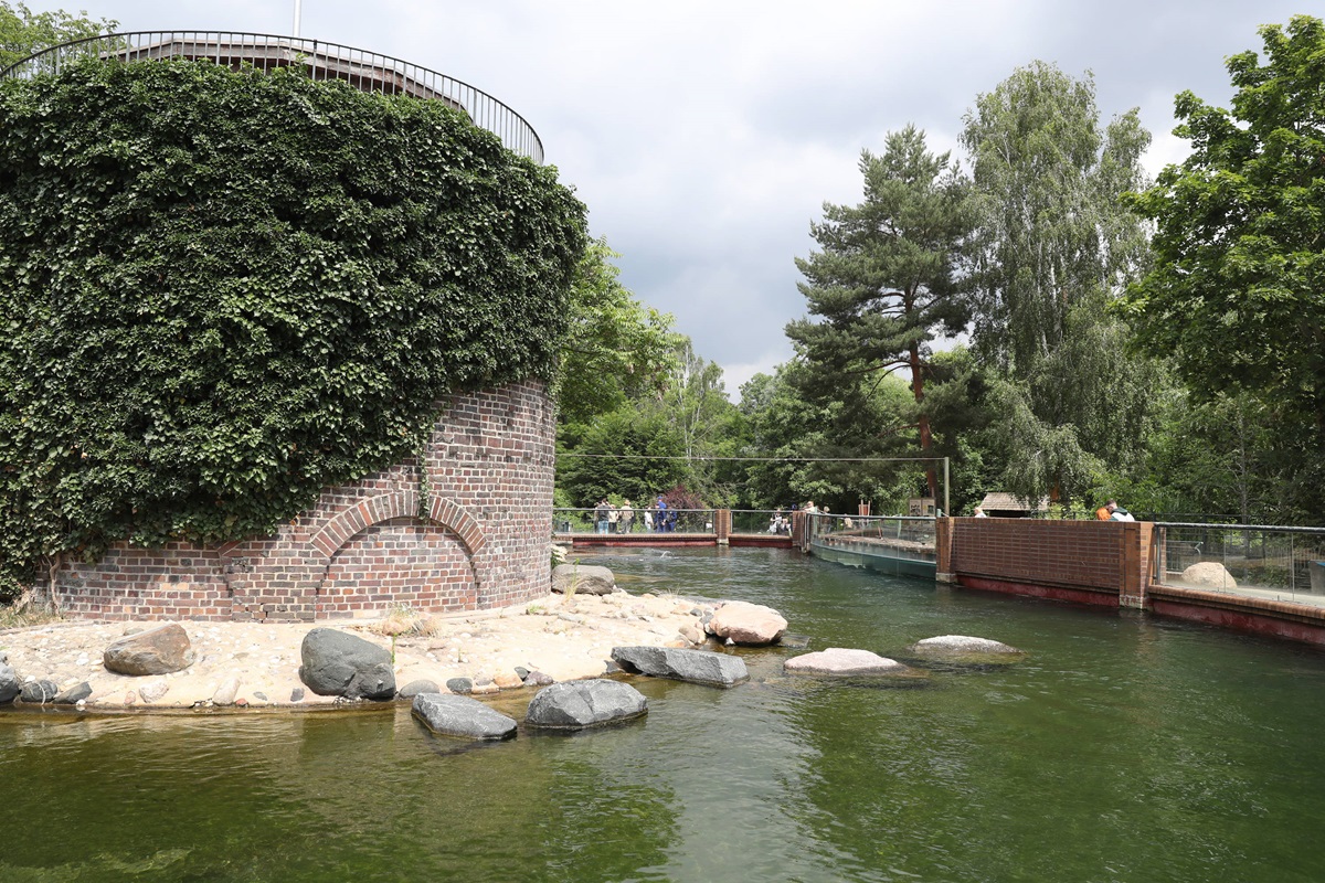 Party-Stress im Zoo Leipzig! Pfleger planen Überraschung - "Scheiß-Idee"