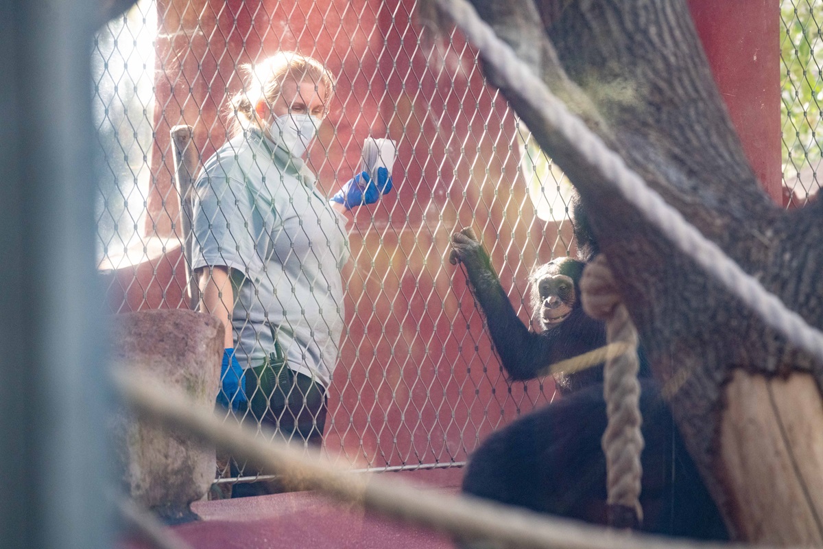 Tierärzte im Zoom Gelsenkirchen - es könnte "unangenehm" werden