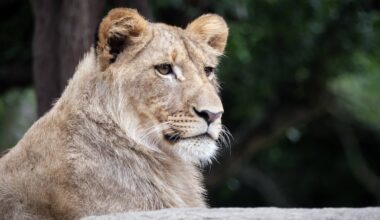 Zoo Leipzig