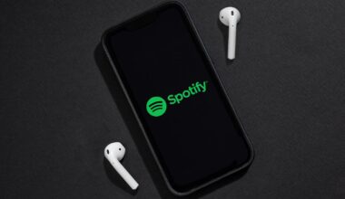 "Provokante" Playlisten-Titel: Türkische Behörden ermitteln gegen Spotify