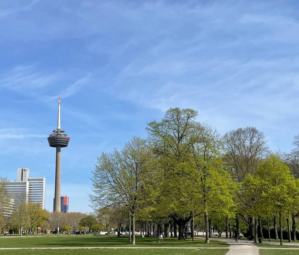Breitet sich Hasenpest in Köln aus?