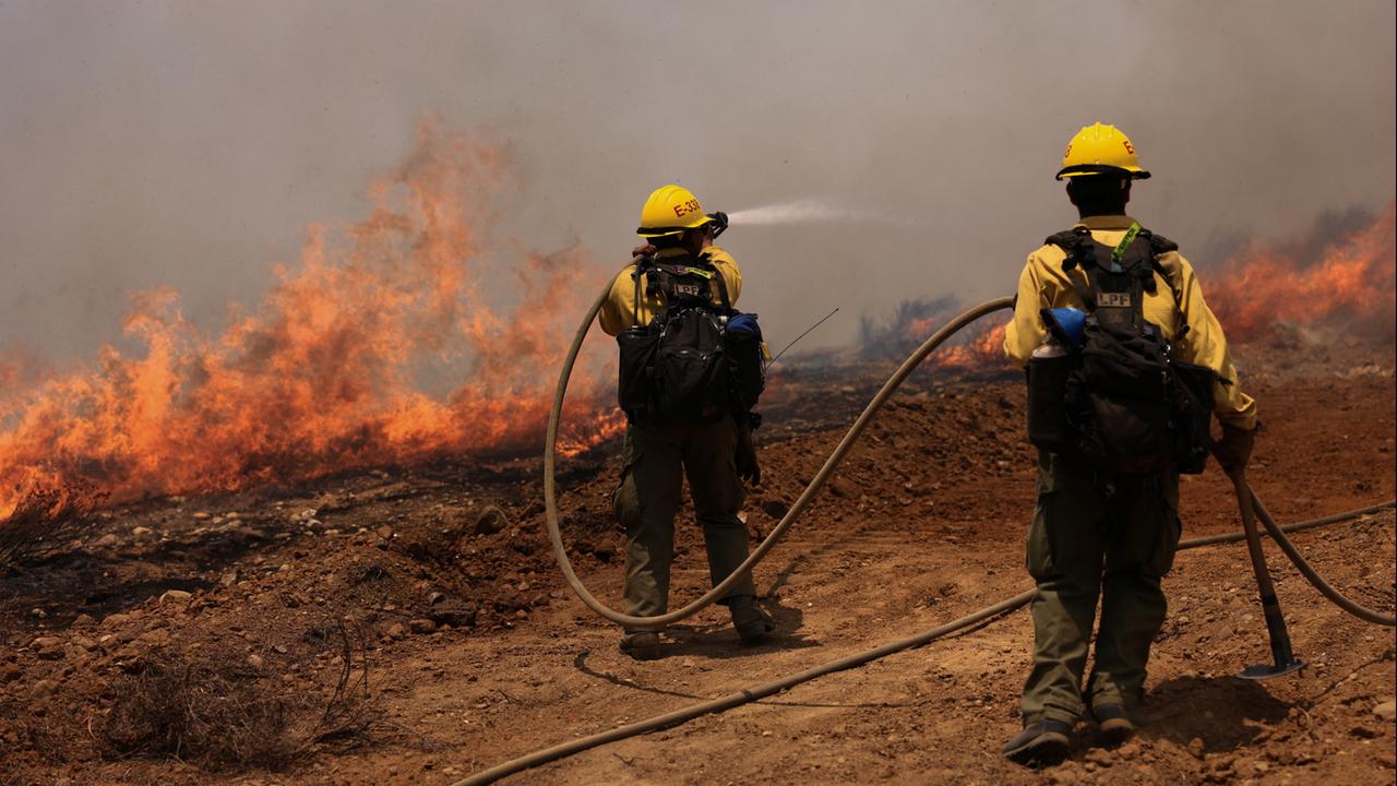 "Madre-Feuer" - tagesschau.de