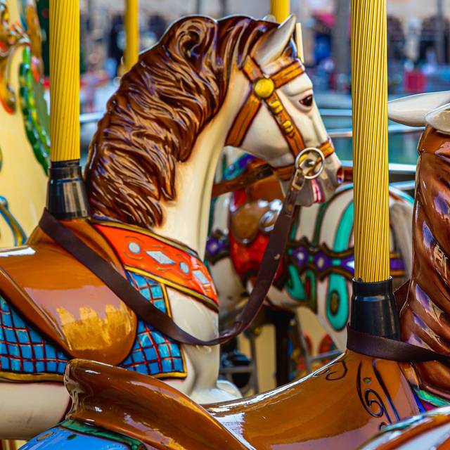 Detail-Aufnahme eines Kirmes-Ka­rus­sells mit Holzpferden.
