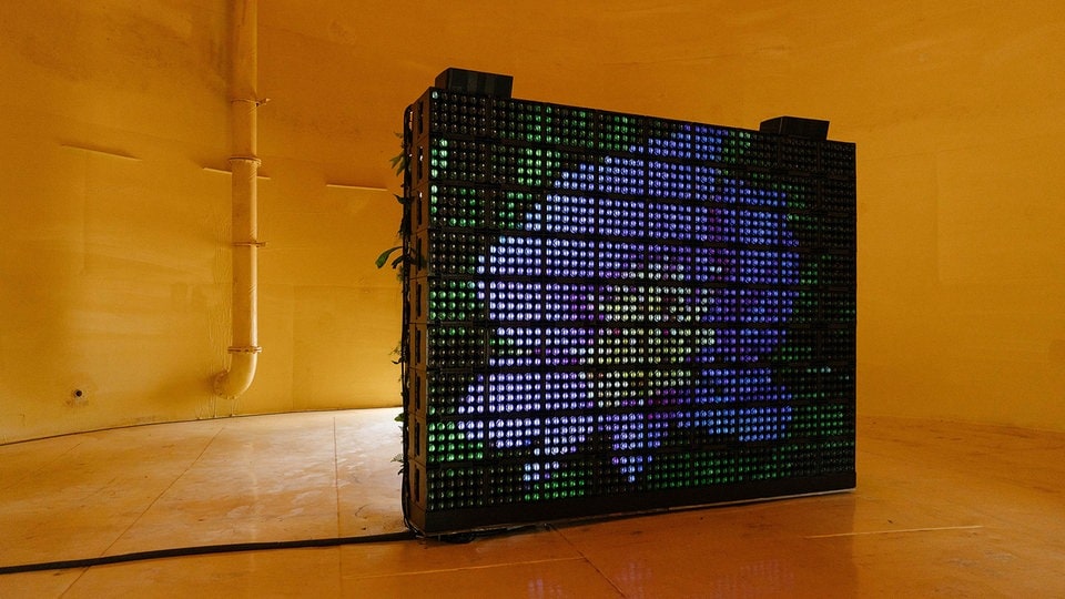 Chemnitz: Hito Steyerl präsentiert bei "Begehungen" Kunst im Wassertank