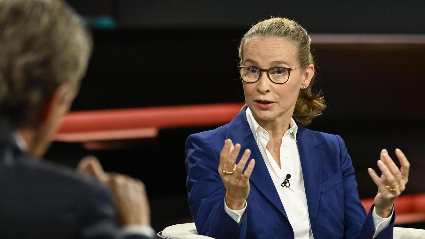Bekannter Rechtswissenschaftler änderte wohl Wikipedia-Eintrag von Brosius-Gersdorf