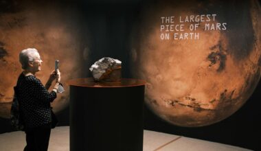 25 Kilogramm schwerer Marsmeteorit in New York versteigert