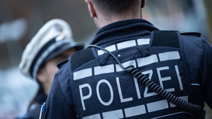 Landkreis Karlsruhe: Polizei sucht im Philippsee nach vermisstem Mann
