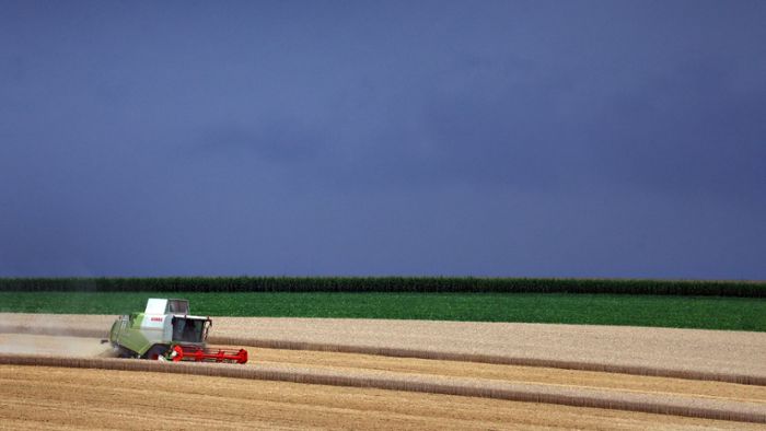 Deutschland: Bilder des Tages