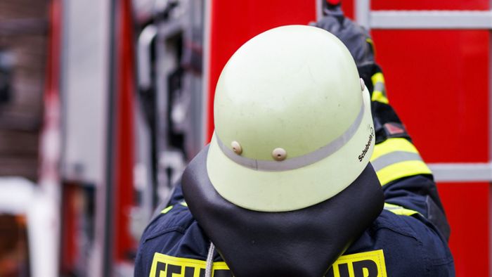 Mannheim: Rauchsäule weithin sichtbar – Brand in Ölhafen