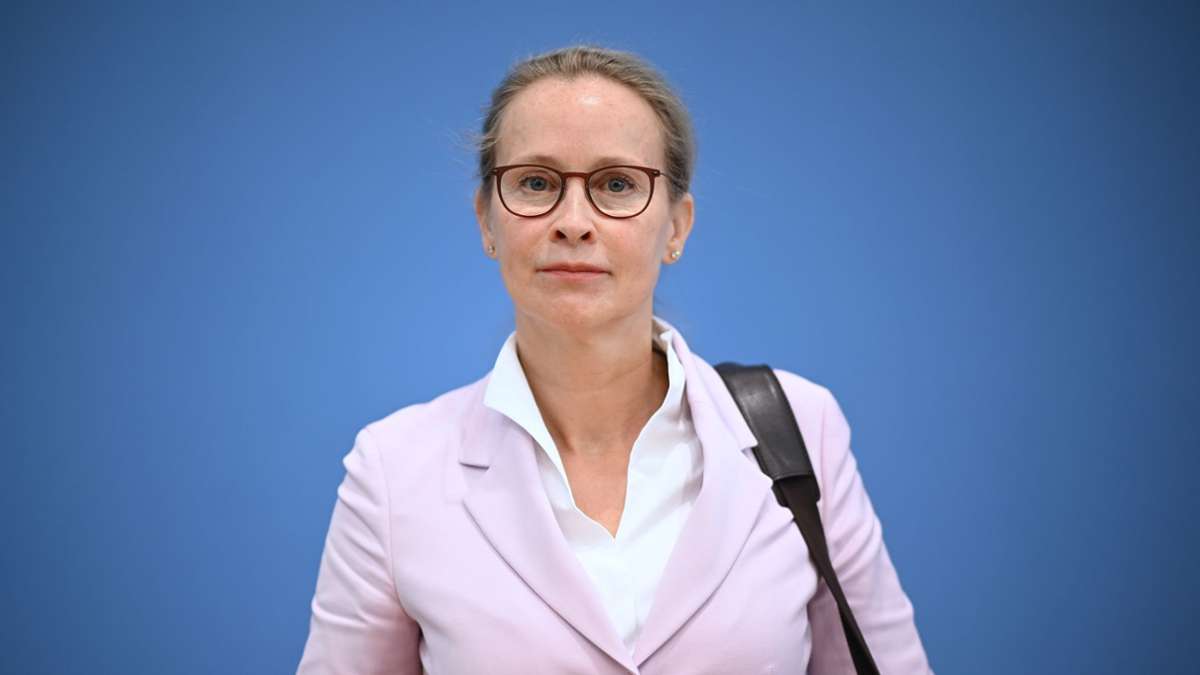 SPD-Richterkandidatin: Stuttgarter Kanzlei: Plagiatsvorwürfe gegen Brosius-Gersdorf unbegründet