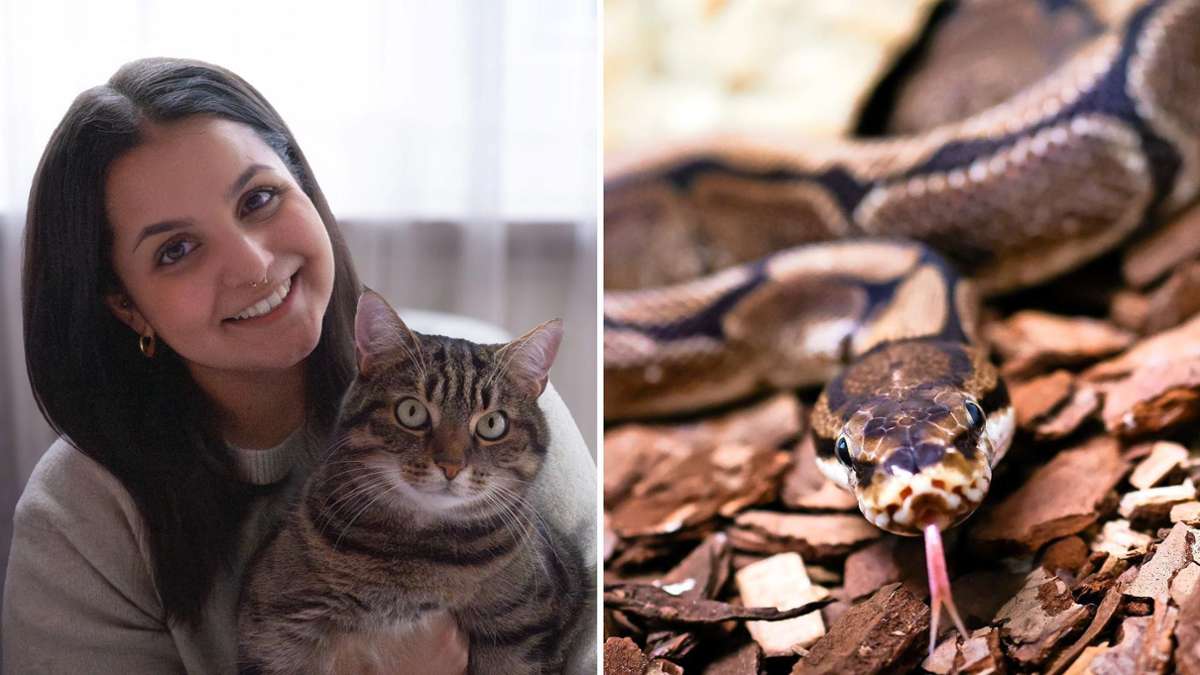 Stuttgarterinnen erzählen: Python-Sitting auf Zeit – wie Urlaub und Haustier zusammenpassen