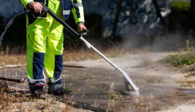Karlsruhe: Weitere invasive Ameisenart im Südwesten unterwegs