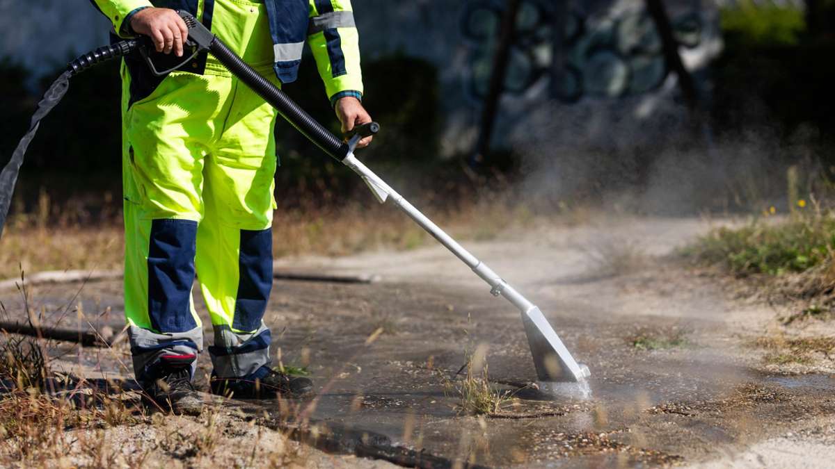 Karlsruhe: Weitere invasive Ameisenart im Südwesten unterwegs