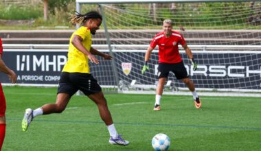VfB Stuttgart: Wenn Stürmer Ermedin Demirovic den Kasten sauber hält