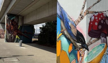 Stuttgart-Zuffenhausen: Von grau zu bunt – Graffitis verwandeln Bahnhof