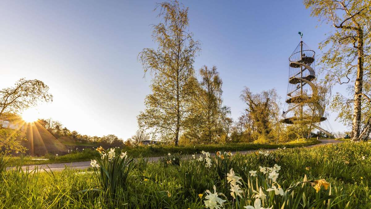 Kultur auf der Höhe: Was das Sommerfest am Killesberg zu bieten hat