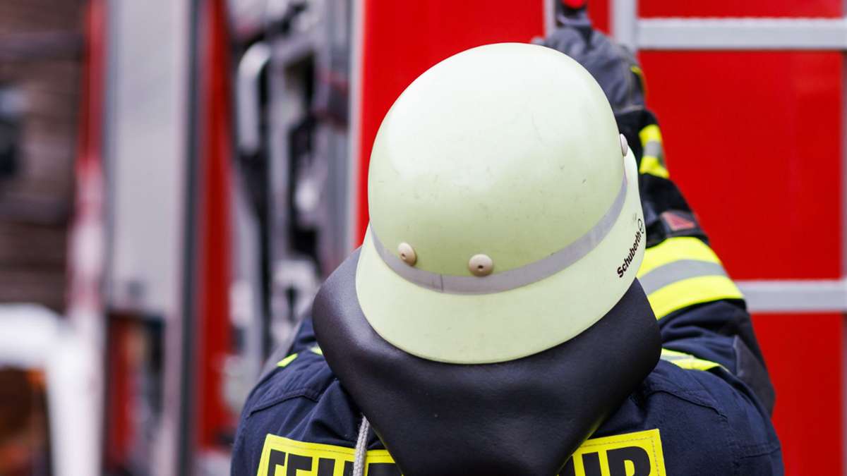 Mannheim: Rauchsäule weithin sichtbar – Brand in Ölhafen