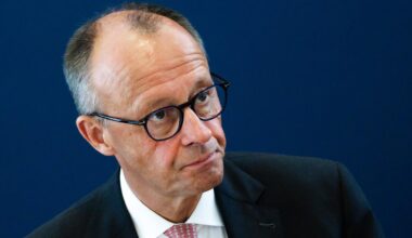 Russische Desinformation: Fake über getötete Eisbären zielt gegen Merz