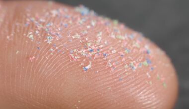 Auf einer Fingerspitze sind winzige Plastikpartikel in bunten Farben zu sehen.
