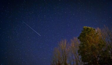 Perseiden-Meteorstrom: Ein Naturschauspiel im August