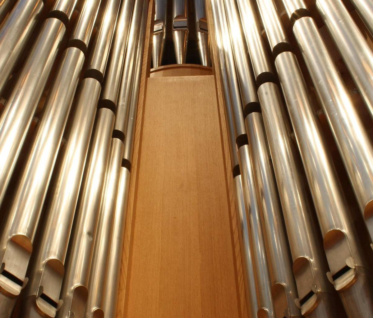 Höhenverstellbar: Bonner Orgel für den Kölner Dom