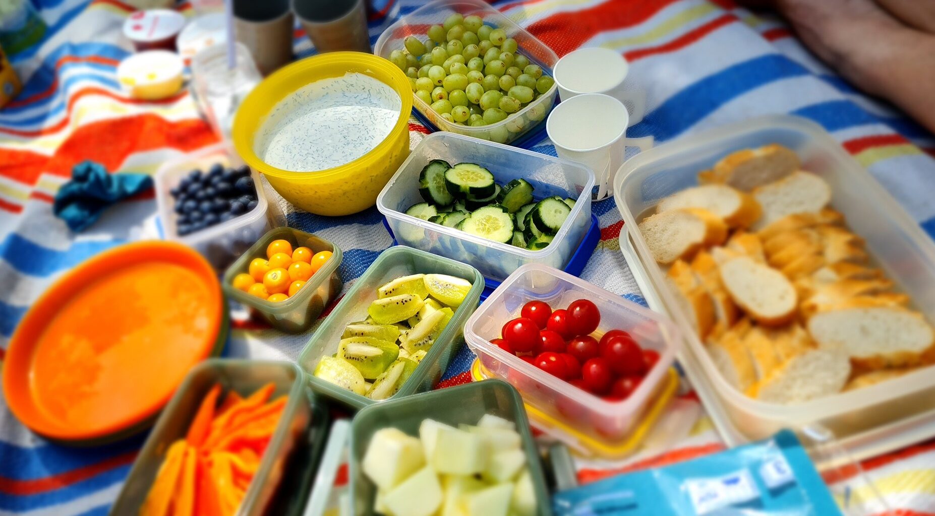 Saalekreis lädt zum landesweiten Gartenträume-Picknicktag ein