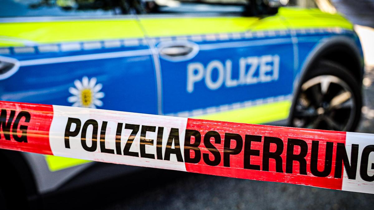 Radfahrer stürzt schwer nach Kollision mit Hundeleine im Schlossgarten Karlsruhe