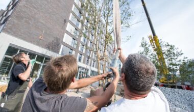 Berlin: Gegen die Hitze in der Stadt: Aktivisten fordern eine Million Bäume für Berlin
