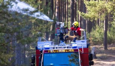 Einsatzkräfte kämpfen in Brandenburg gegen 13 Hektar Waldbrand