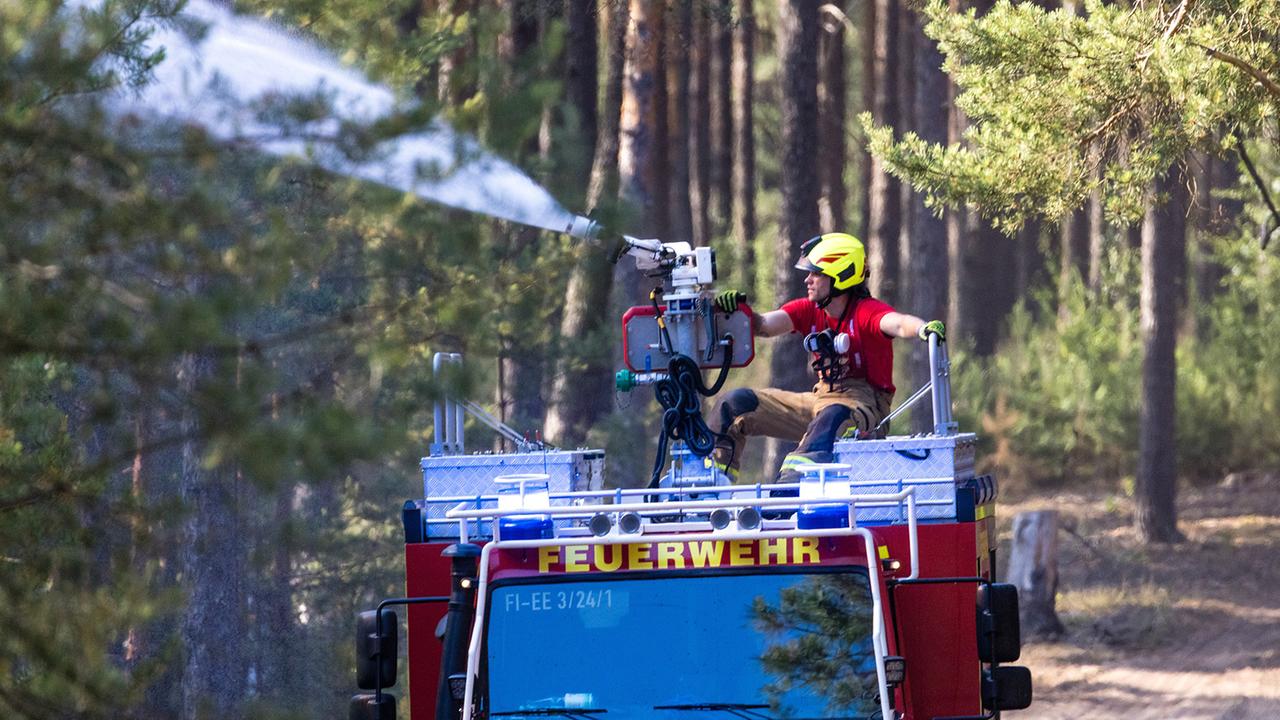 Einsatzkräfte kämpfen in Brandenburg gegen 13 Hektar Waldbrand