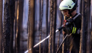 Brandenburg: Feuerwehren bekämpfen landesweit Flammen - Süden besonders betroffen