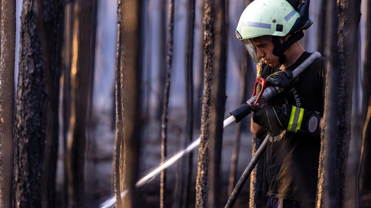 Brandenburg: Feuerwehren bekämpfen landesweit Flammen - Süden besonders betroffen