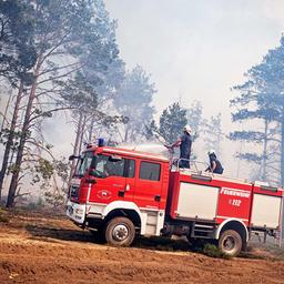 Einsatzkräfte der Feuerwehr bekämpfen am 05.06.2023 in einem Waldstück nahe Jüterbog das Feuer.(Quelle:dpa/F.Sommer)