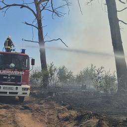 Mehrere Hektar Waldfläche bei Treuenbrietzen in Brand geraten - Feuer weitet sich aus und ist noch nicht unter Kontrolle - Feuerwehr unter schwierigen Bedingungen im Großeinsatz (Quelle: NonstopNews)