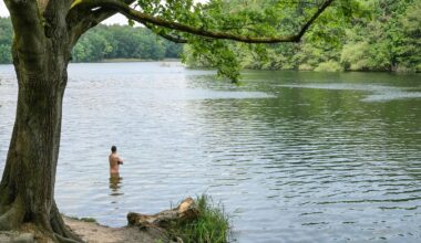 Berlin: Berliner Badestellen haben überwiegend gute Wasserqualität