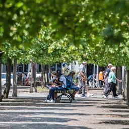 Passanten genießen am 08.06.2023 das schöne Wetter unter Bäumen am Gendarmenmarkt. (Quelle: dpa/Paul Zinken)