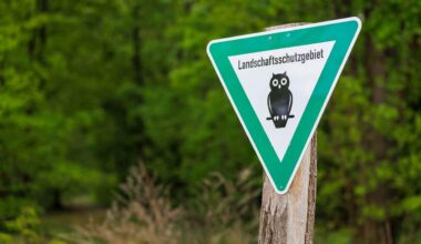 Brandenburg: Brandenburg schleift Naturschutz mit "Bürokratieabbau"-Gesetz