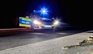 Berlin: Schlange auf Supermarkt-Parkplatz in Berlin-Treptow löst Polizeieinsatz aus