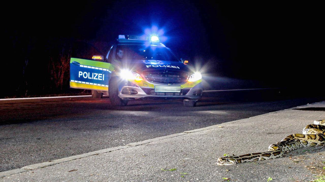 Berlin: Schlange auf Supermarkt-Parkplatz in Berlin-Treptow löst Polizeieinsatz aus