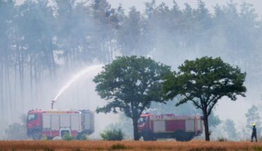 Brandenburg: Waldbrand in Gohrischheide: Feuerwehr erwartet noch am Abend drehenden Wind