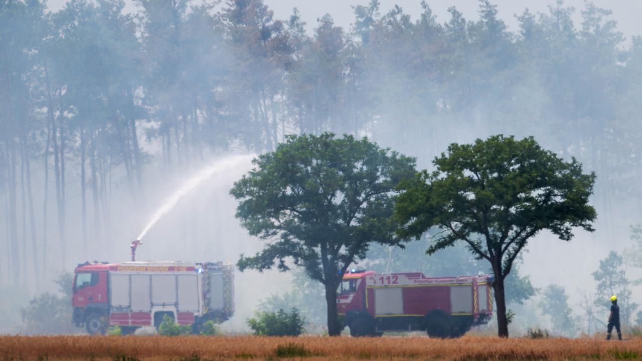 Brandenburg: Waldbrand in Gohrischheide: Feuerwehr erwartet noch am Abend drehenden Wind