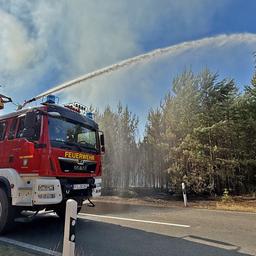 Einsatzkräfte löschen am 01.07.2025 einen Waldbrand in Babben, im Landkreis Elbe-Elster in Brandenburg. (Quelle: rbb/Philipp Manske)