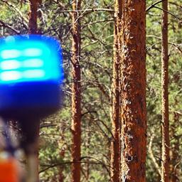 Symbolbild:Das Blaulicht eines Feuerwehrfahrzeuges ist bei einem Brand in einem Kiefernwald nahe Wünsdorf zu sehen.(Quelle:picture alliance/dpa/P.Pleul)