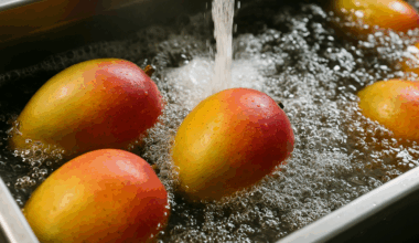 Eine einfache Methode, Mangos doppelt so lange frisch zu halten, wird die Lebensmittelindustrie überraschen